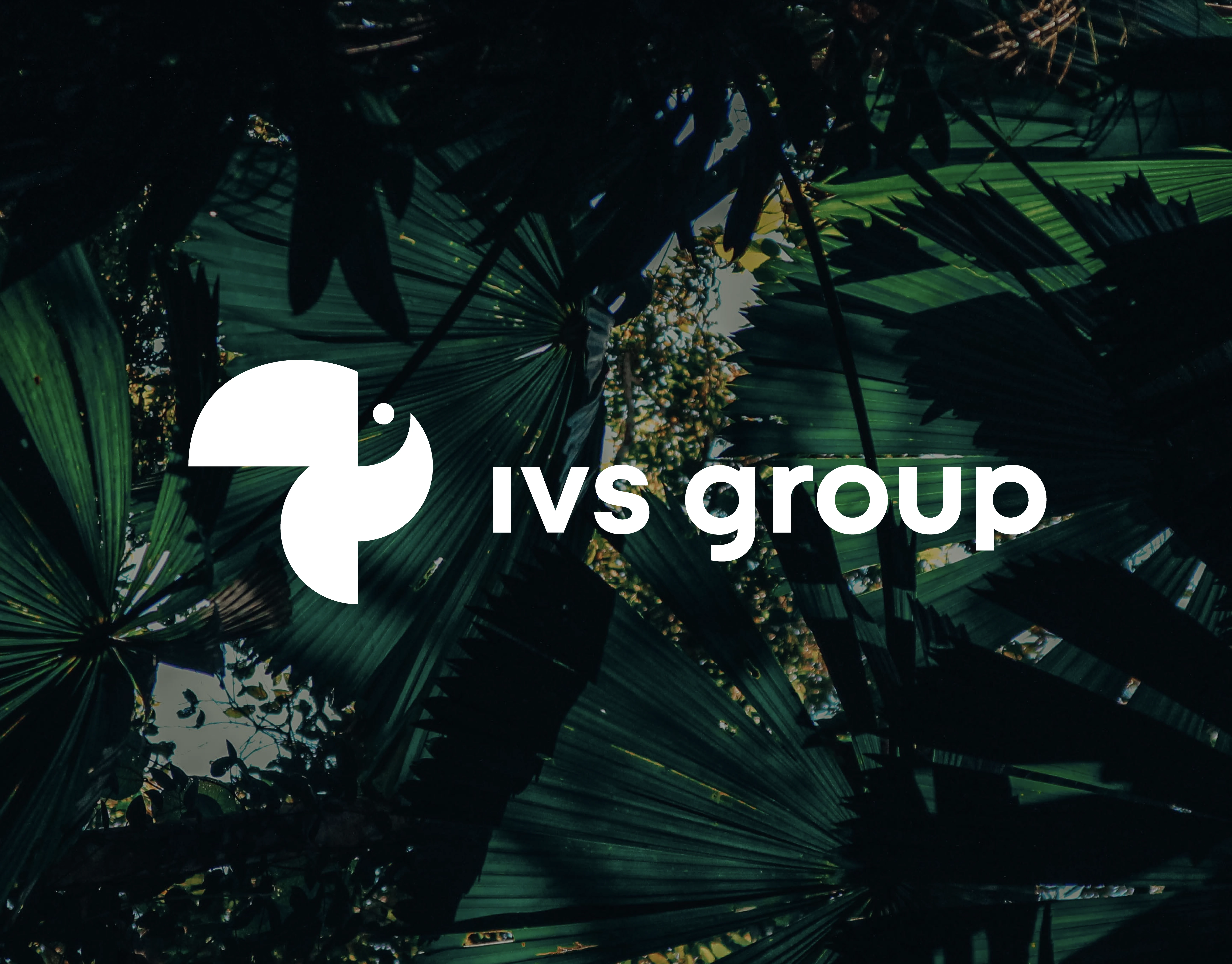 IVS Group branding