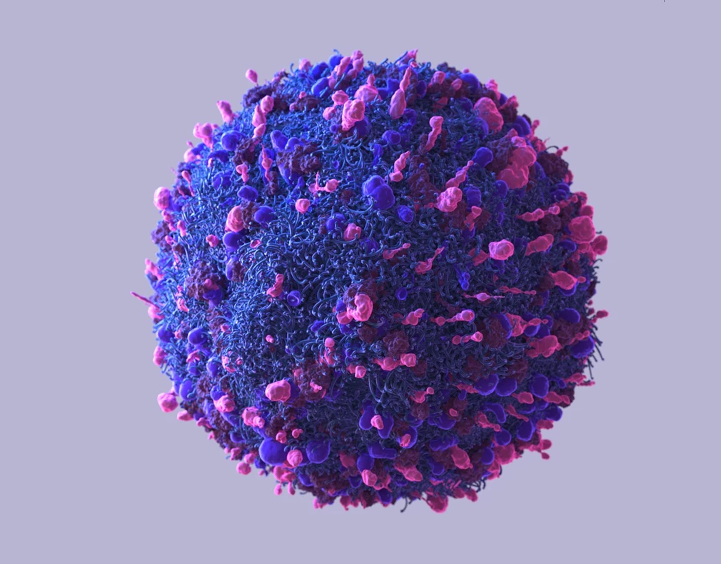 Cell illustrations
