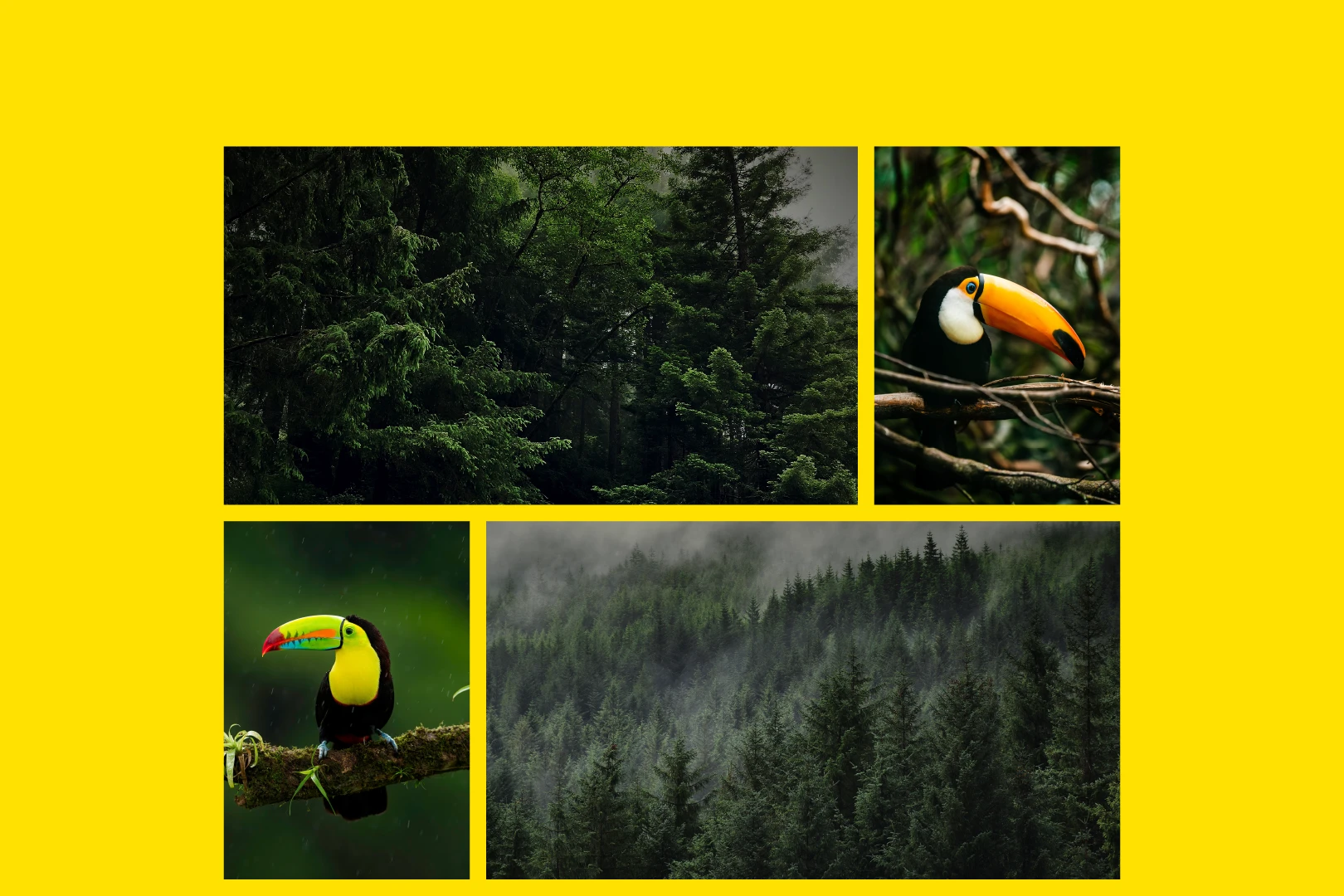 IVS Group branding