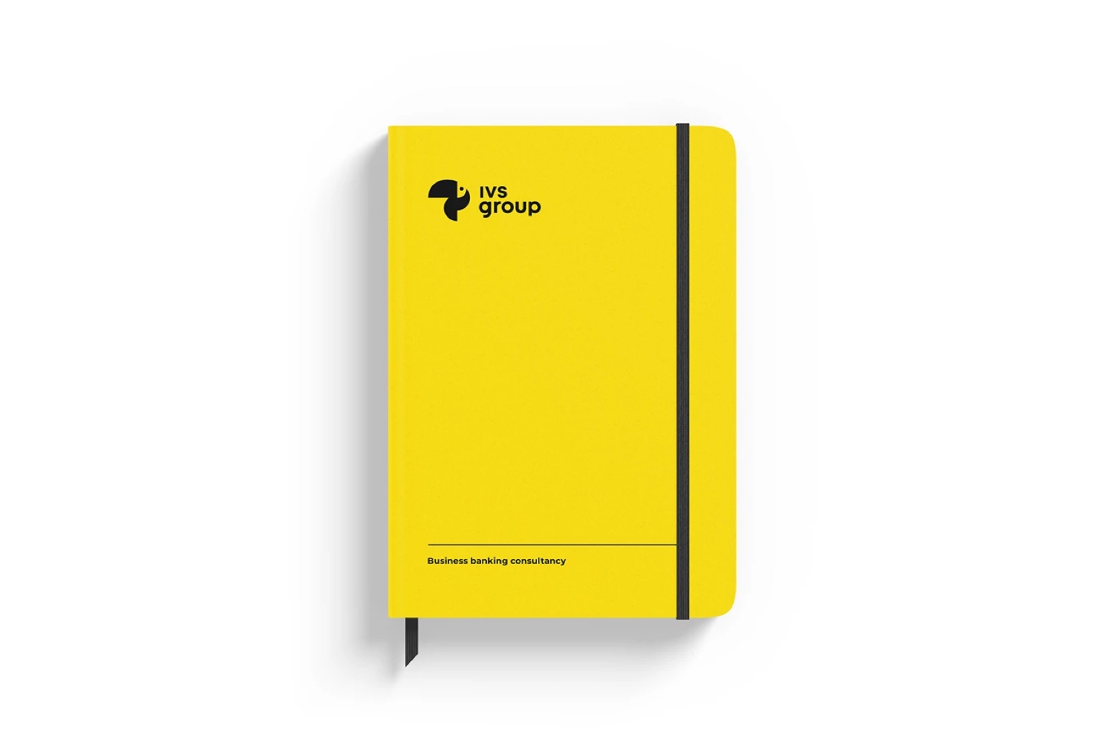 IVS Group branding
