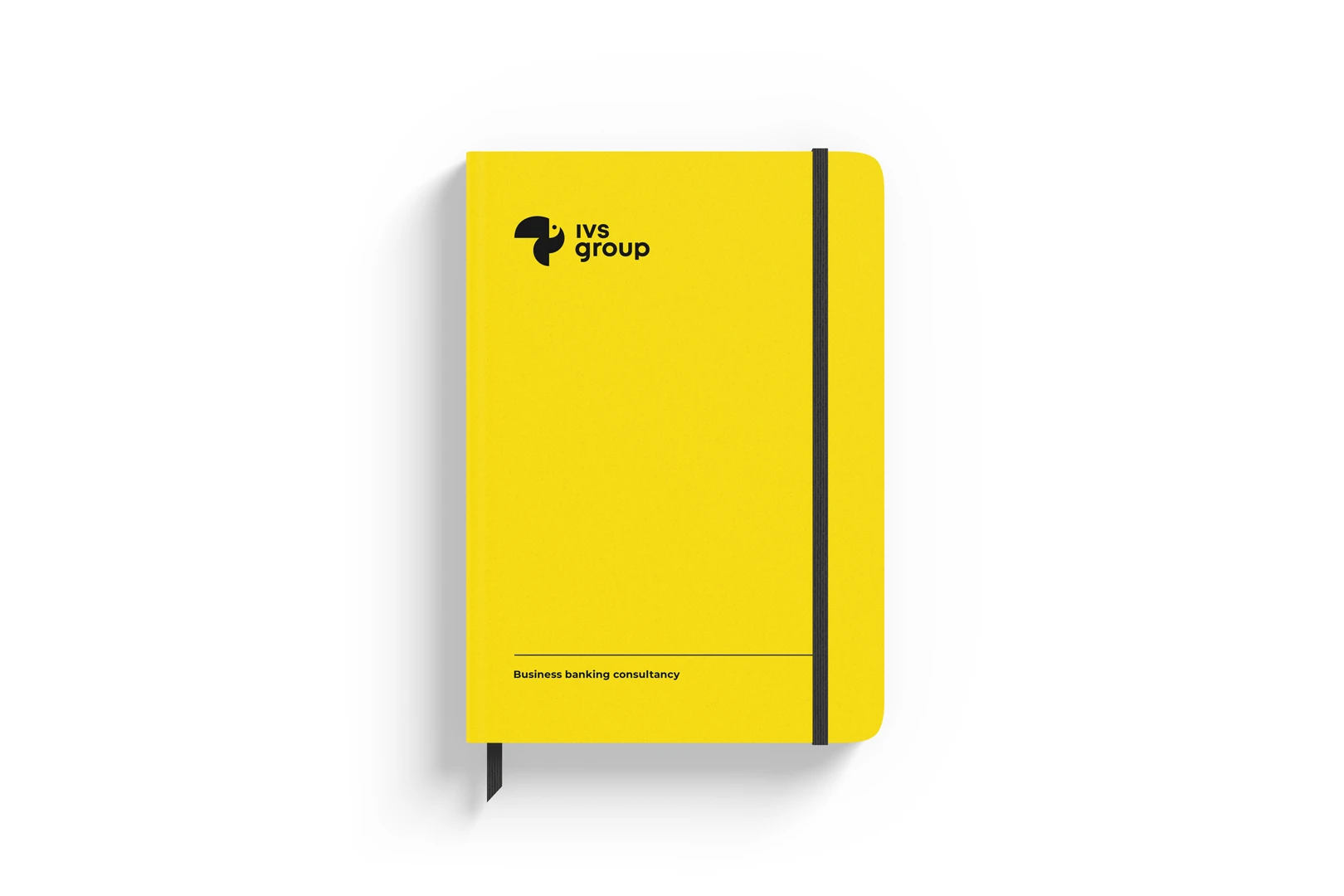 IVS Group branding