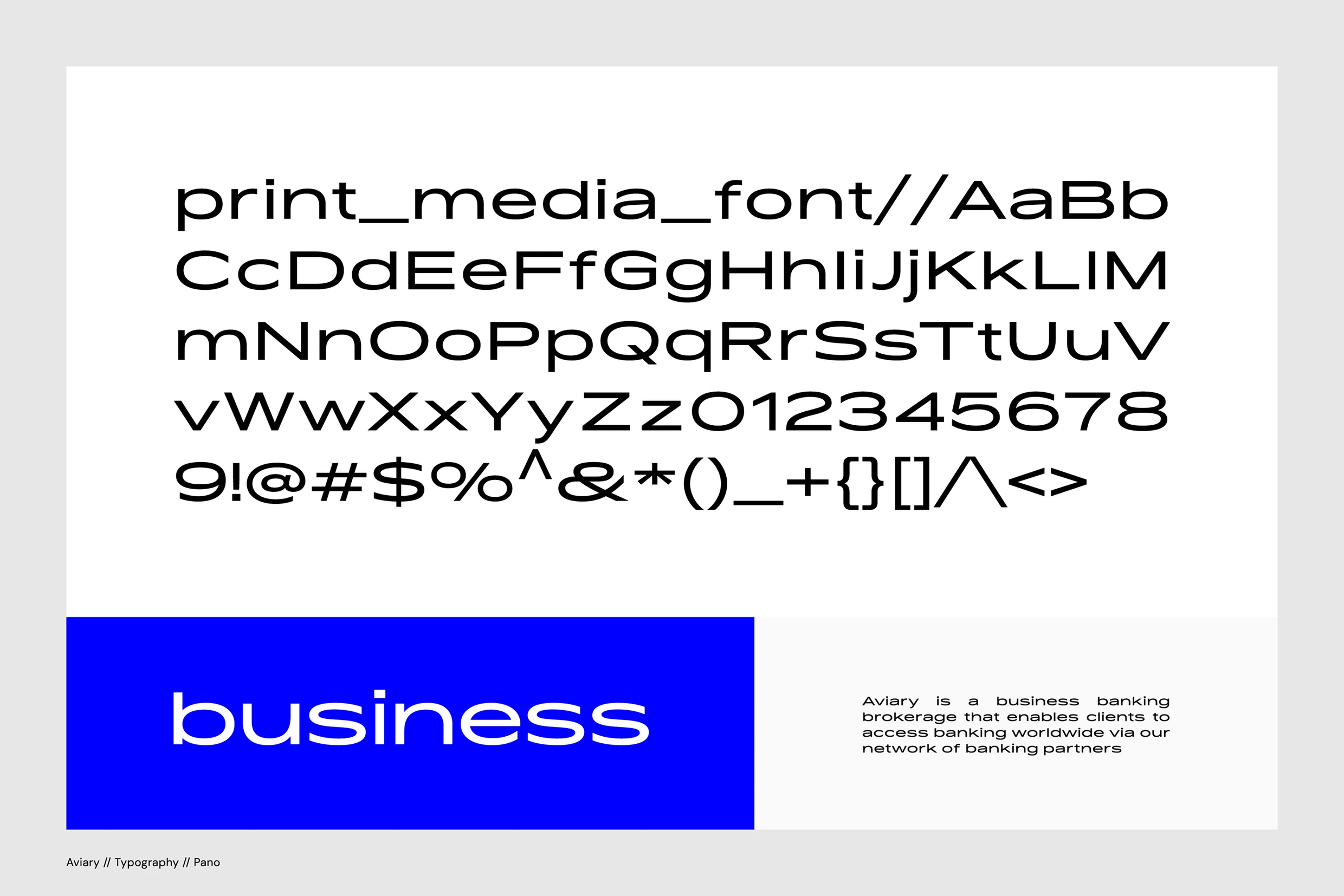 Aviary Branding