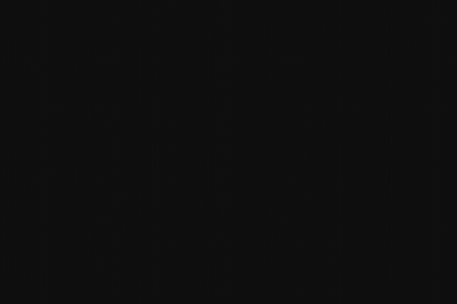 Sunfers Branding
