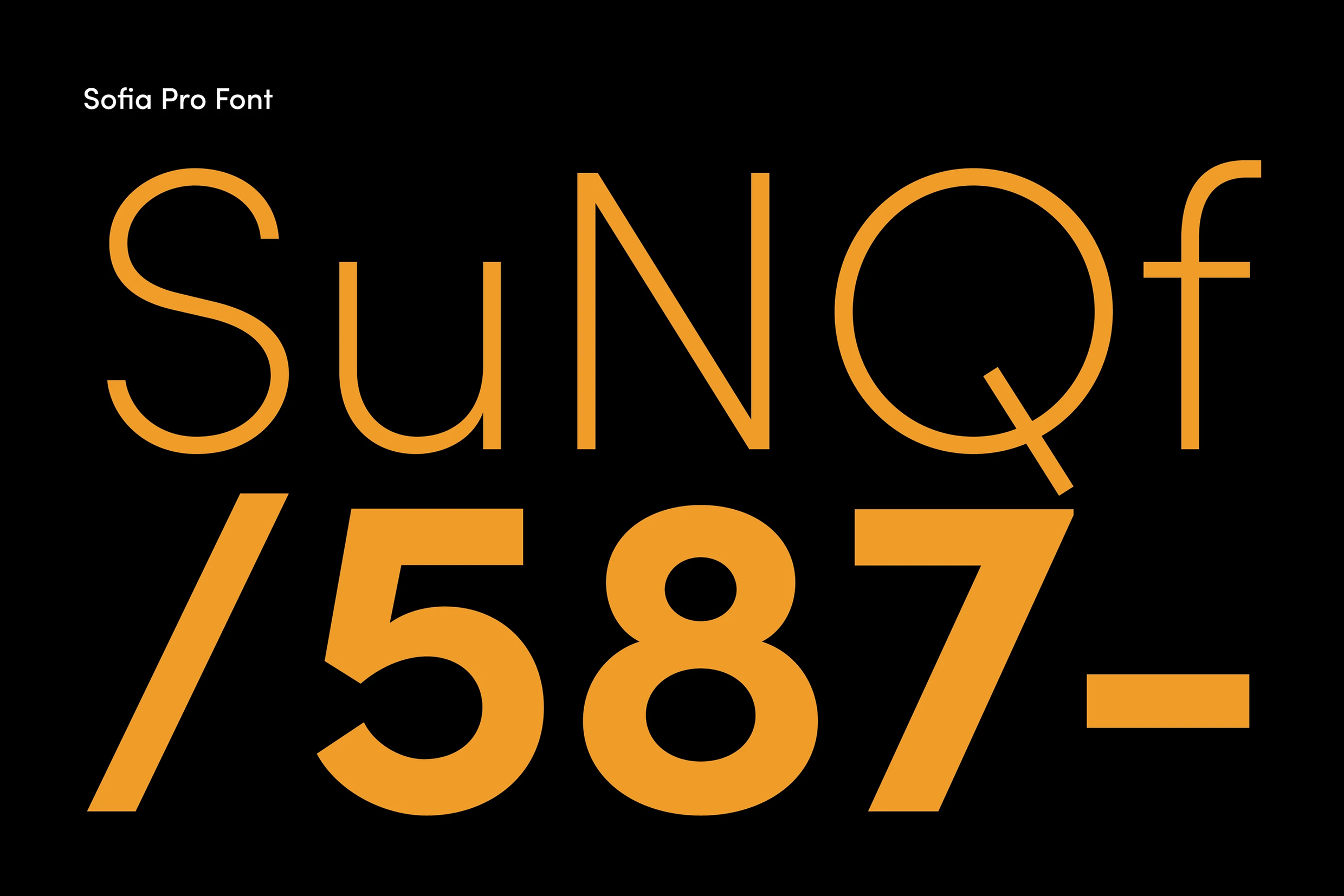 Sunfers Branding