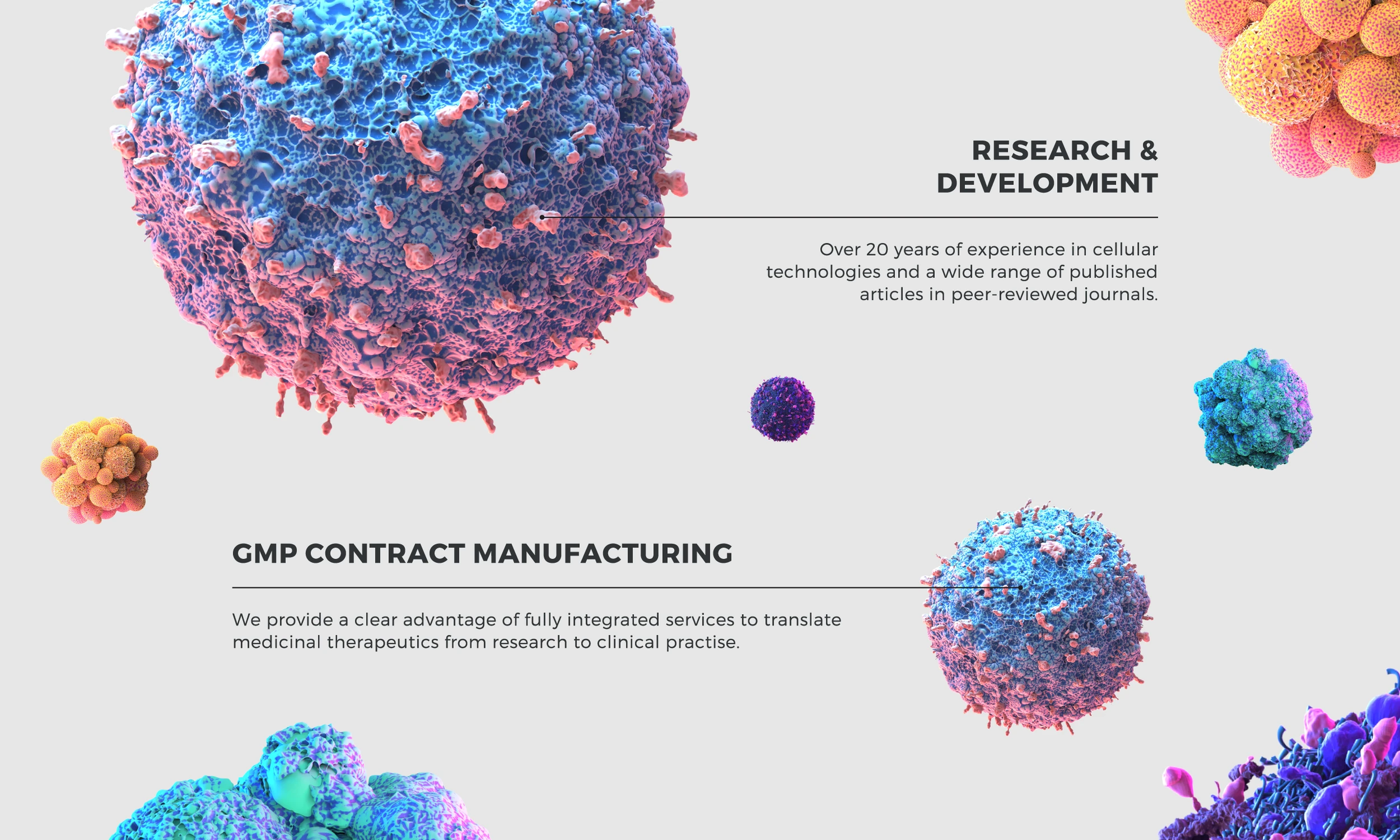 Cell illustrations