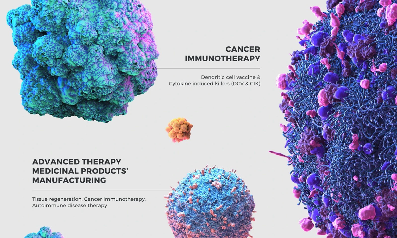 Cell illustrations