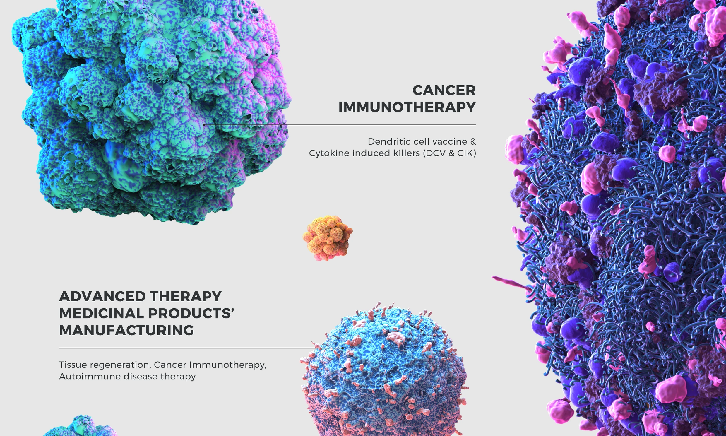 Cell illustrations