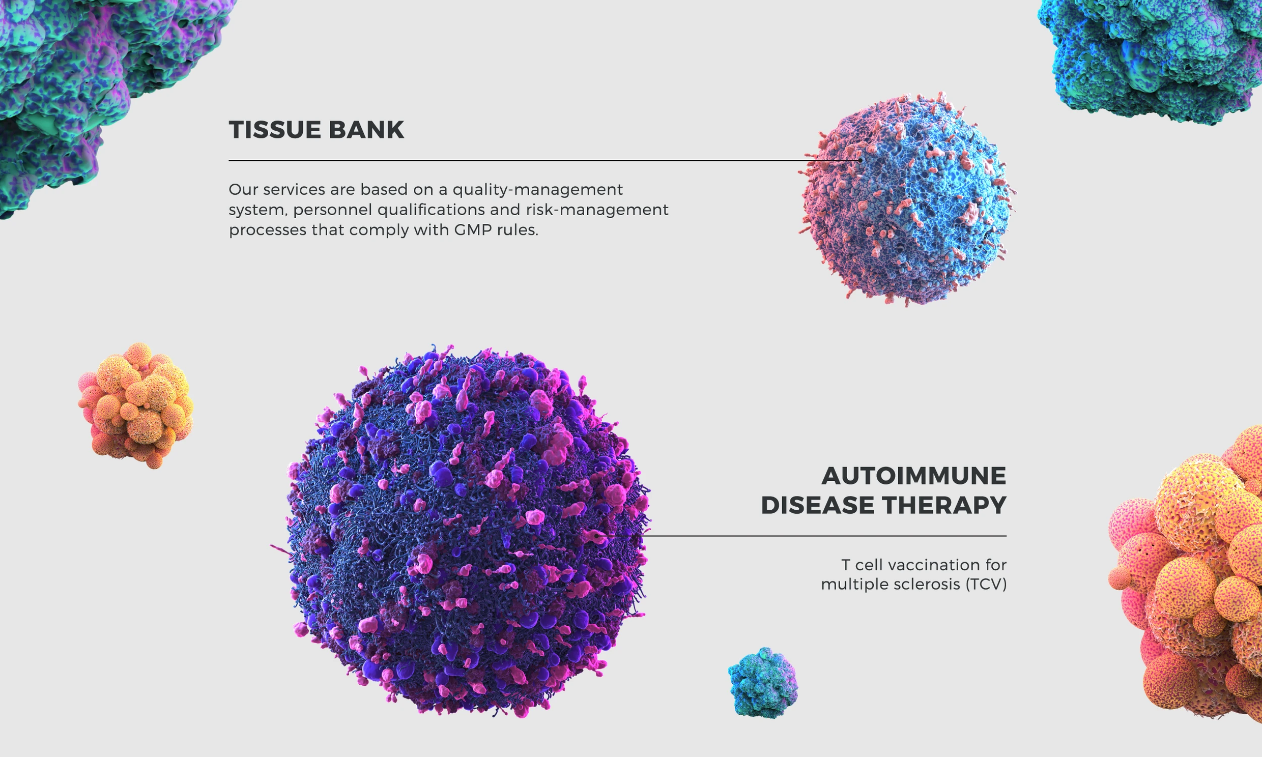 Cell illustrations
