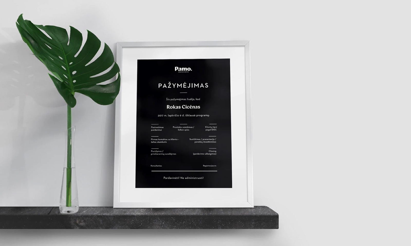Pamo branding